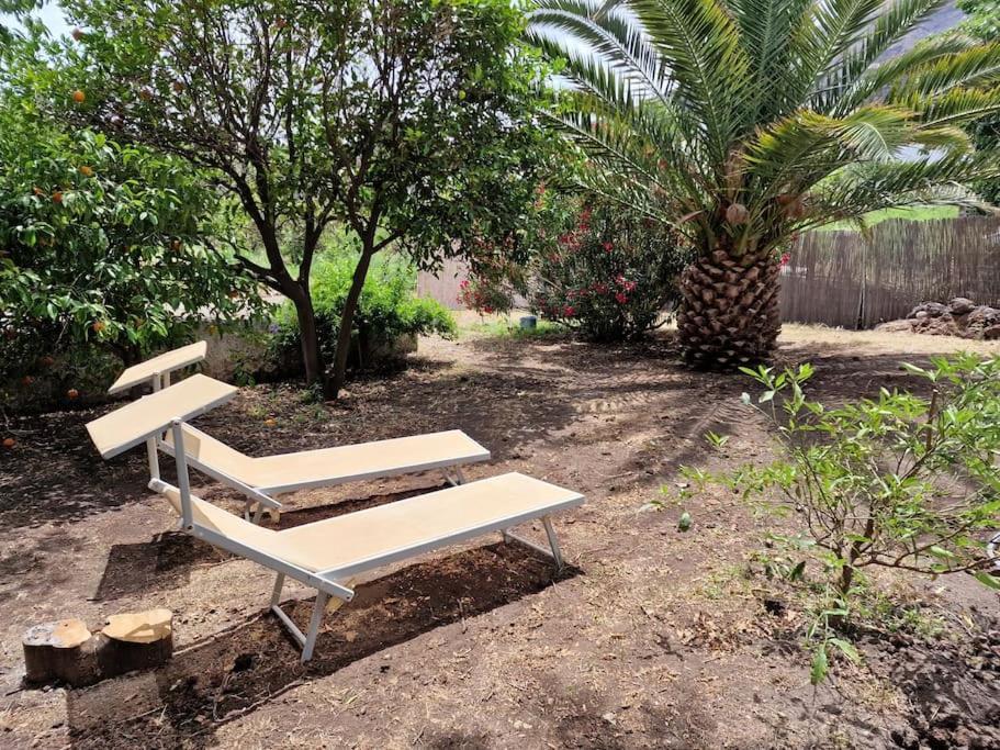 Stromboli Vacanze المظهر الخارجي الصورة