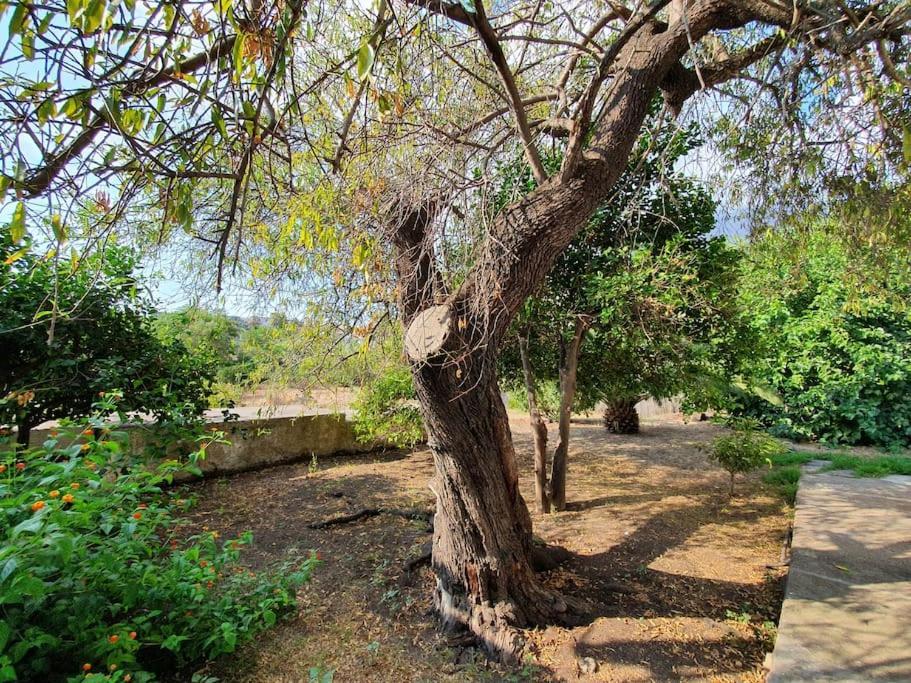 Stromboli Vacanze المظهر الخارجي الصورة