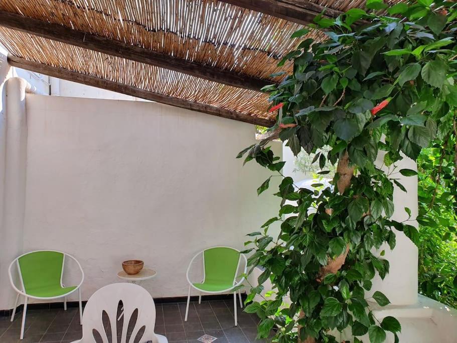 Stromboli Vacanze المظهر الخارجي الصورة