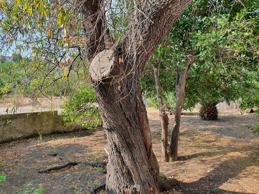 Stromboli Vacanze المظهر الخارجي الصورة