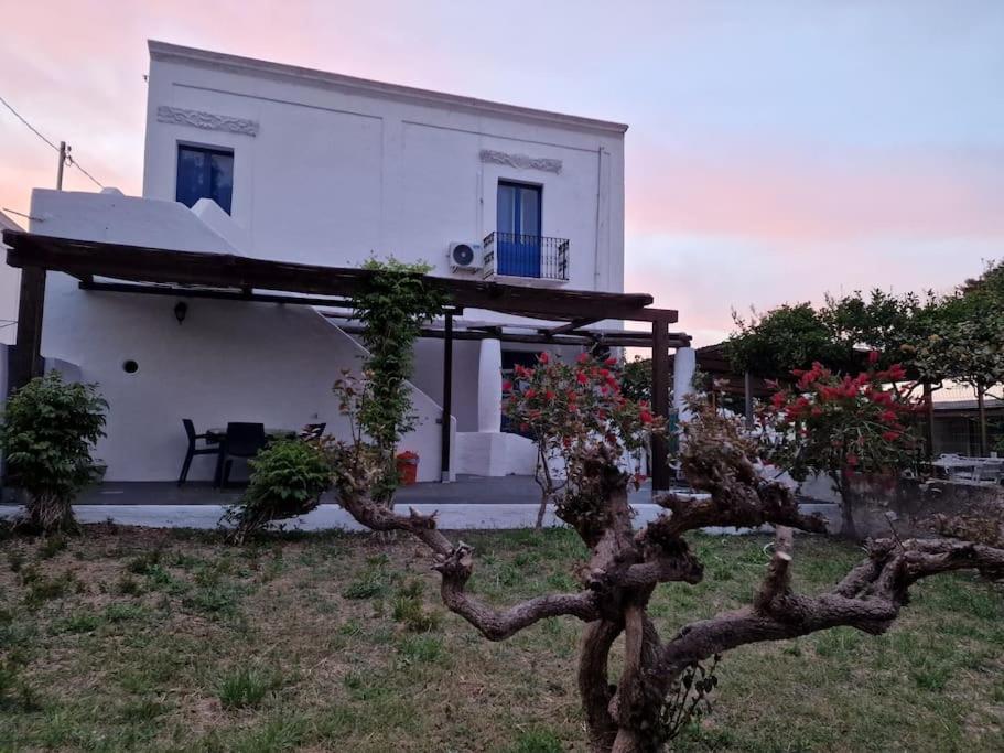 Stromboli Vacanze المظهر الخارجي الصورة